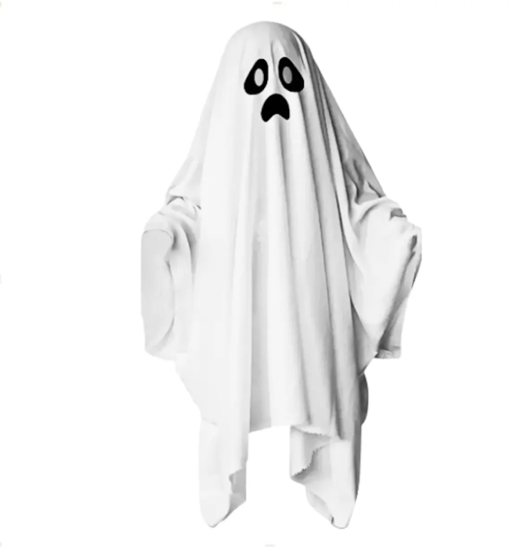 Fantasia Fantasma Infantil 1
