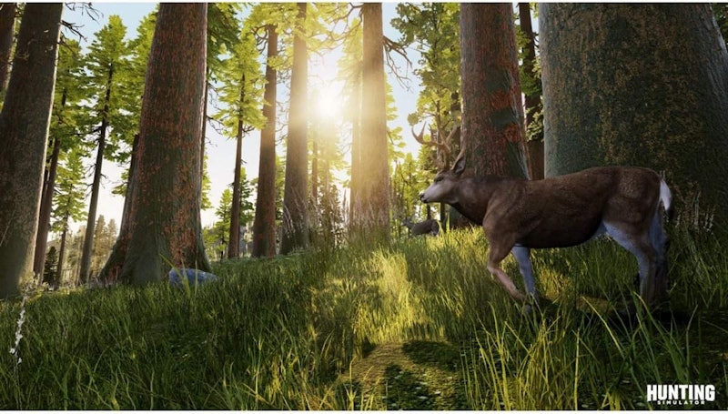 Hunting Simulator (2017) 2