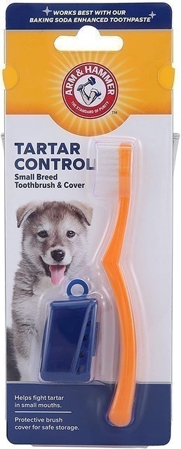 Top 10 Melhores Escovas de Dentes para Cachorros (Chalesco, Arm&Hammer e mais) 2
