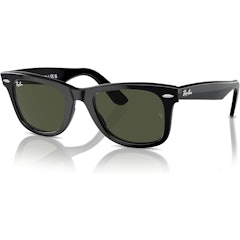 Original Wayfarer Classic