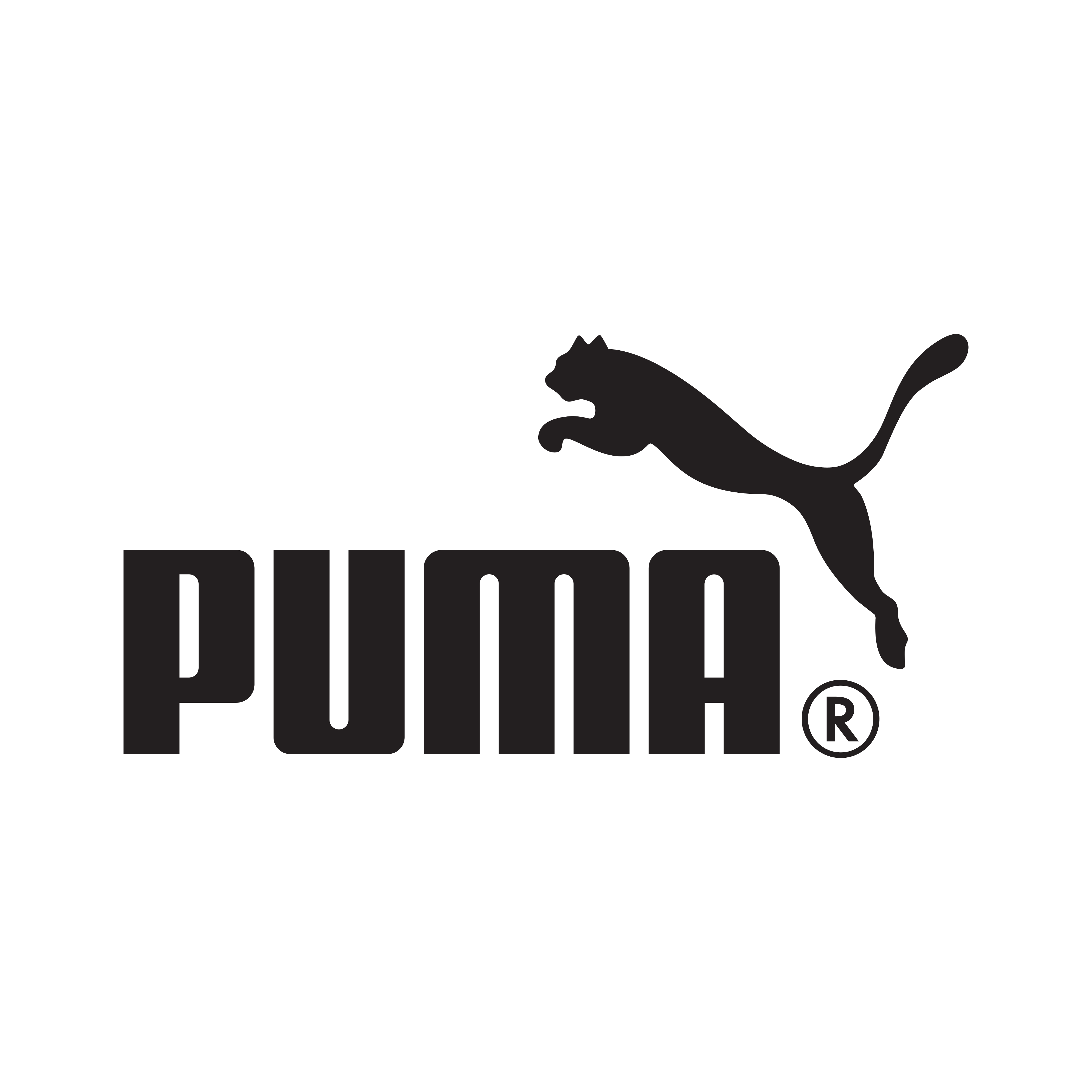 Puma 1