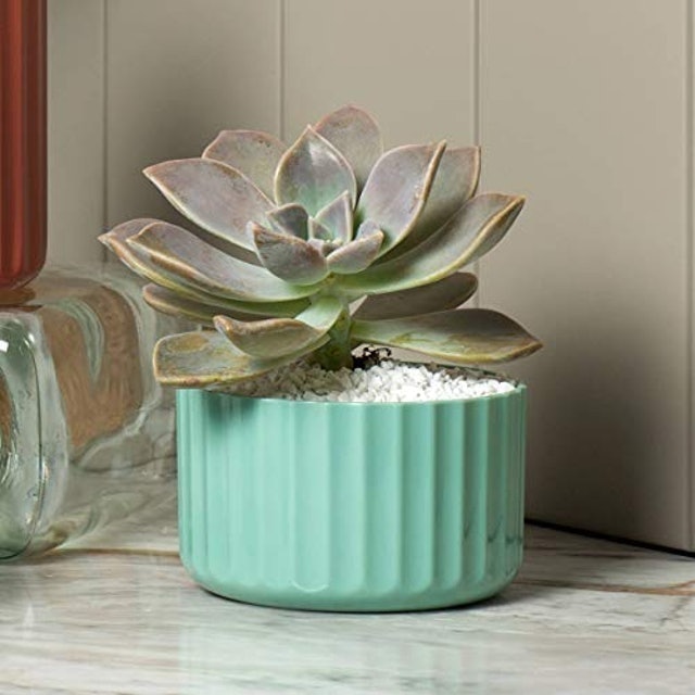 Vaso Groove Mini Verde Menta 1