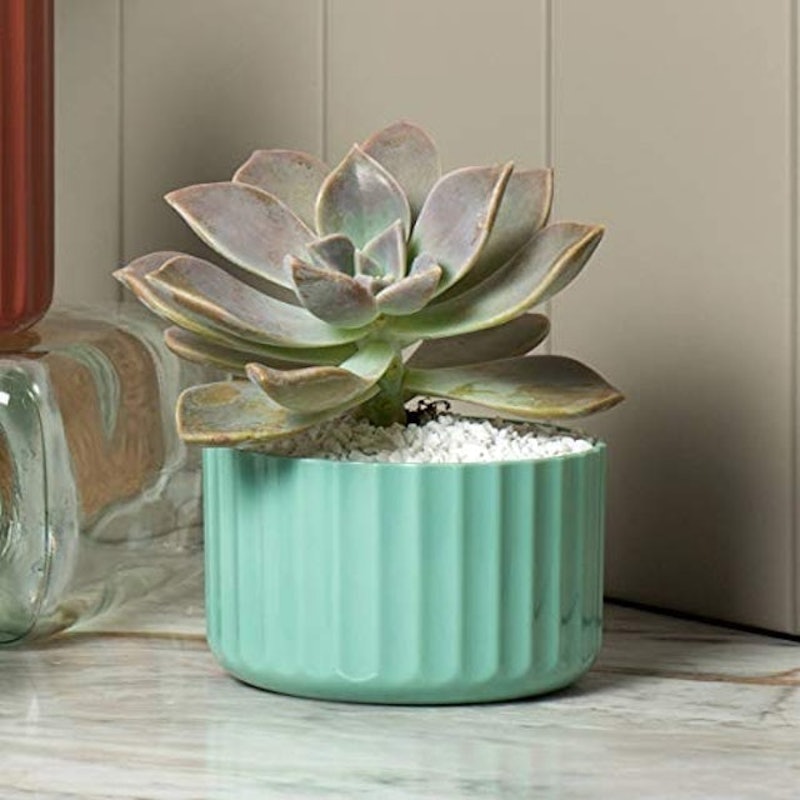 Vaso Groove Mini Verde Menta 1