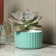 OU Vaso Groove Mini Verde Menta 1