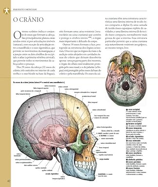 Atlas Ilustrado de Anatomia  3