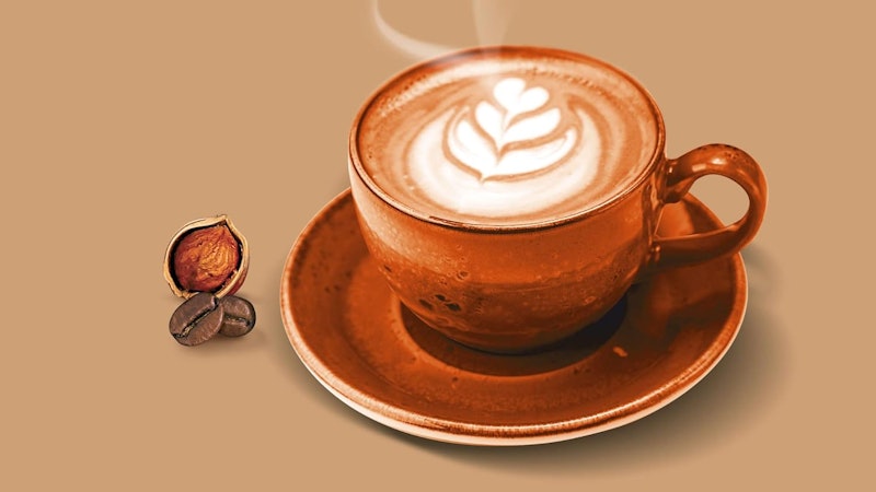 Cappuccino América Avelã 1 kg 3