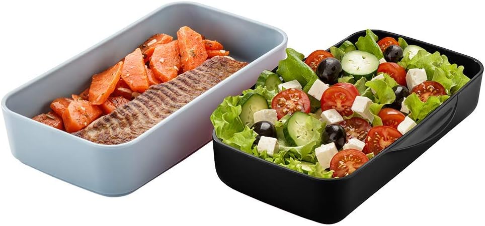 Lunch Box Electrolux  5