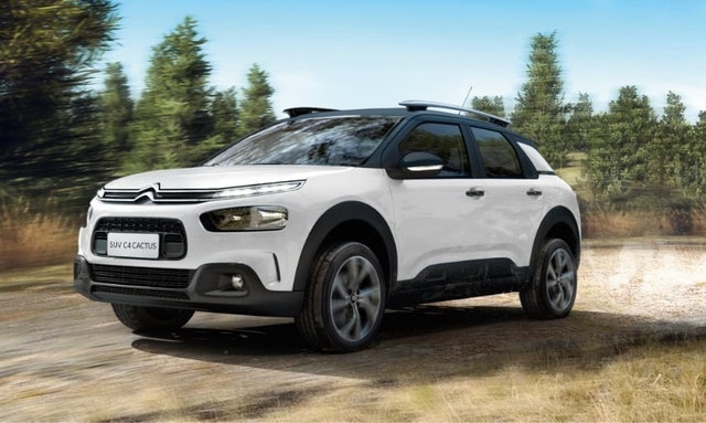 C4 Cactus 5