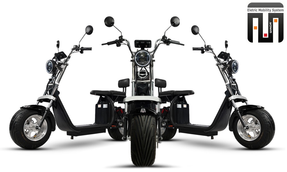 Scooter Elétrica Autopropelida 1000 W Winca 2
