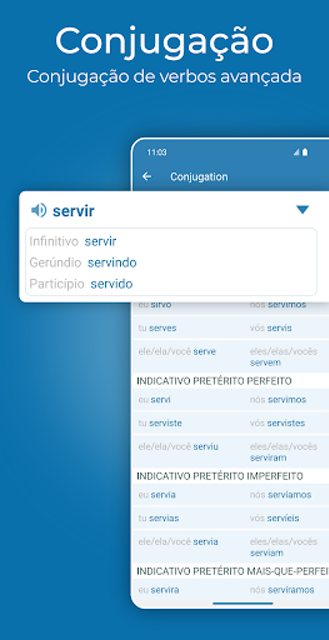 Reverso Tradutor, Dicionário 5
