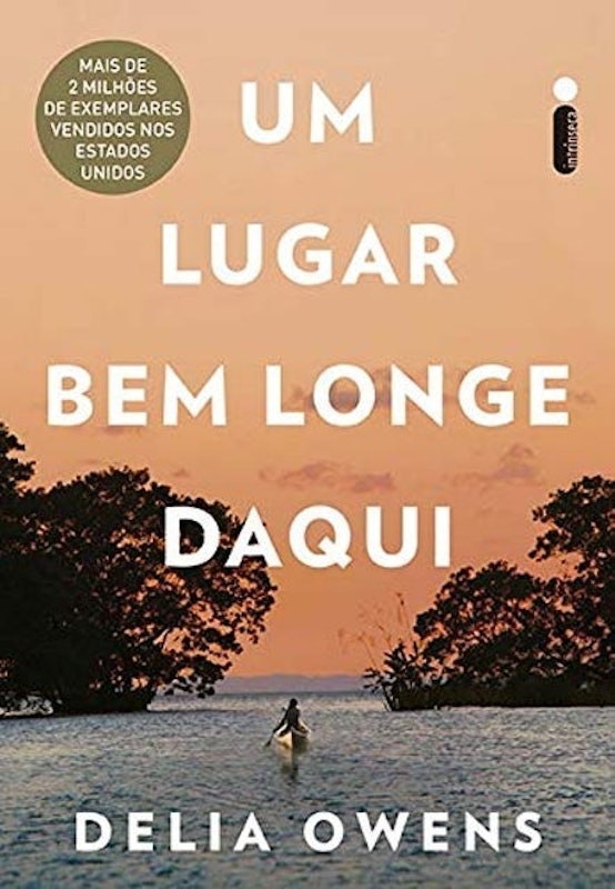 Um Lugar Bem Longe Daqui 1
