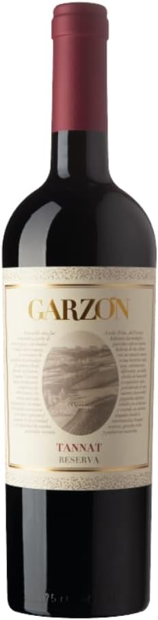 Top 10 Melhores Vinhos Tannat  (Miolo, Garzón e mais) 1