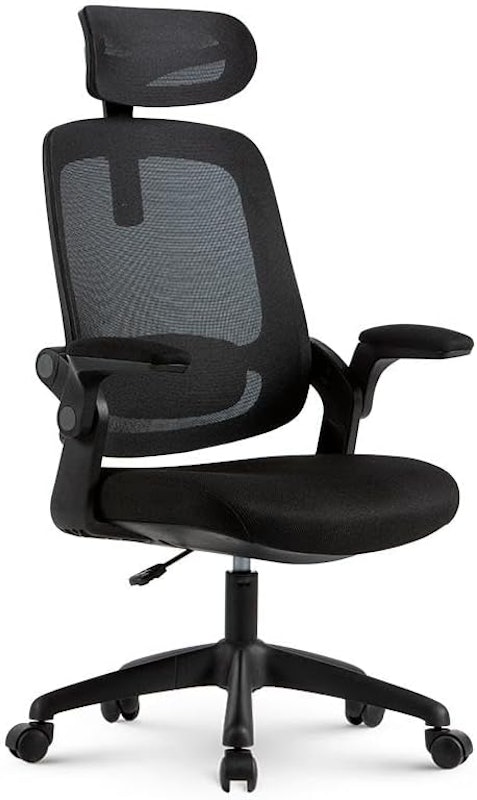Cadeira Ergonômica Astra 1