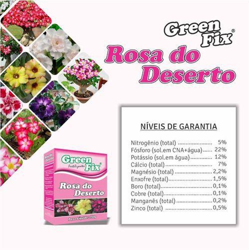 Green-Fix Rosa do Deserto 2