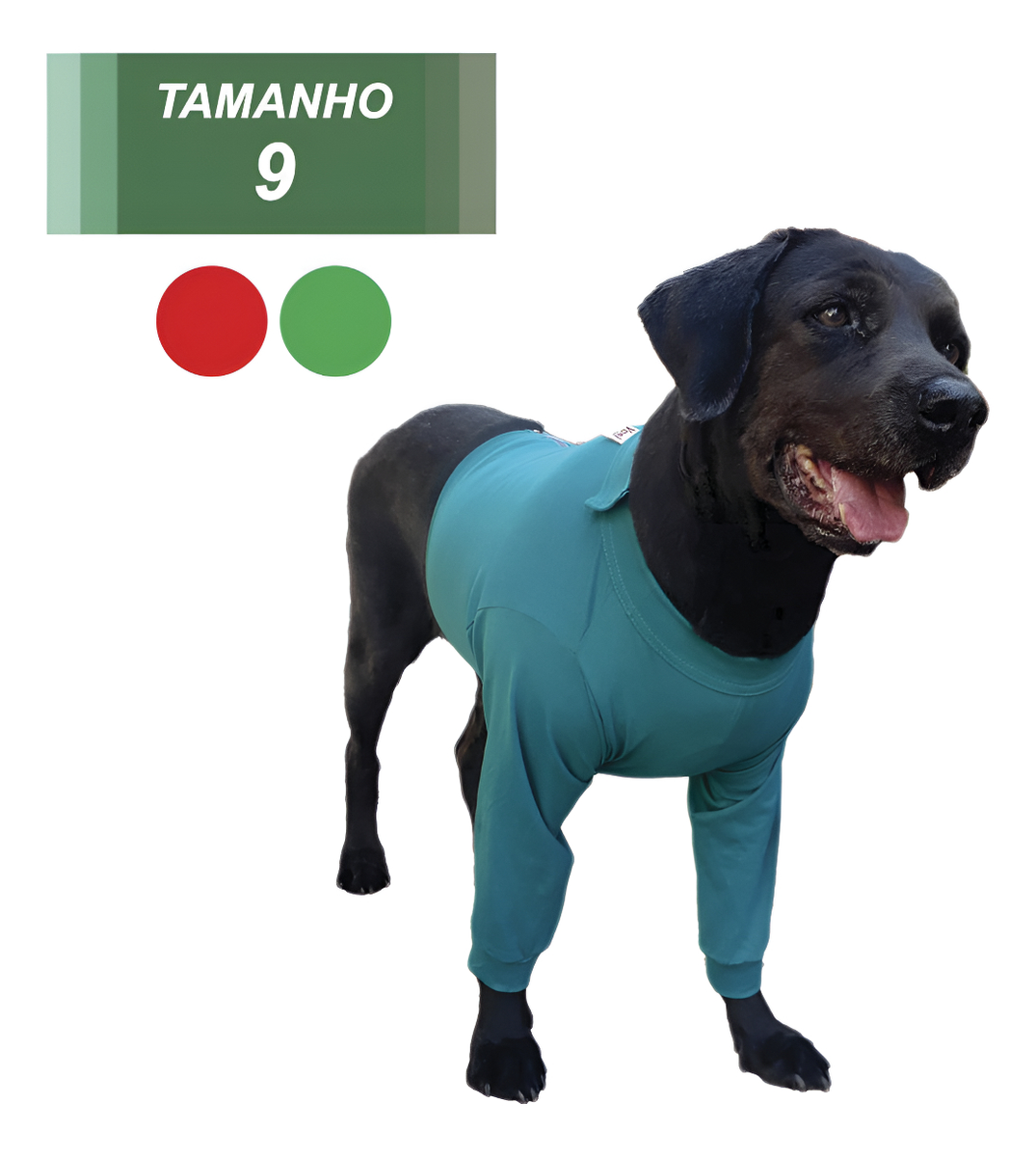 Roupa Pós-Cirúrgica para Cães Membros Interiores Cotton 1