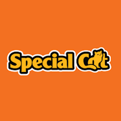 Special Cat