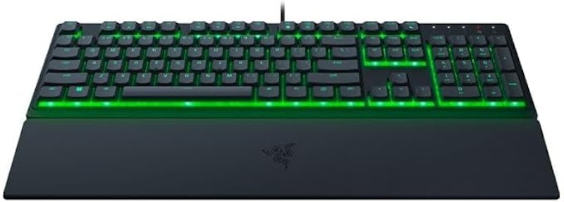 Ornata V3 X 4
