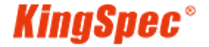Kingspec 1