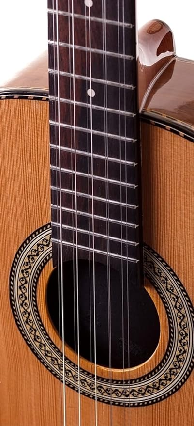 Viola Presença Brasil Cinturada Elétrica 2