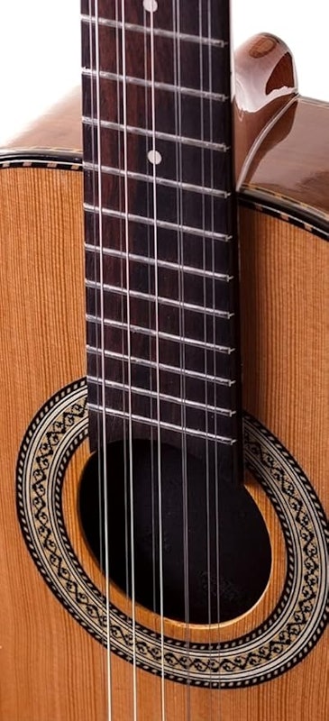 Viola Presença Brasil Cinturada Elétrica 2