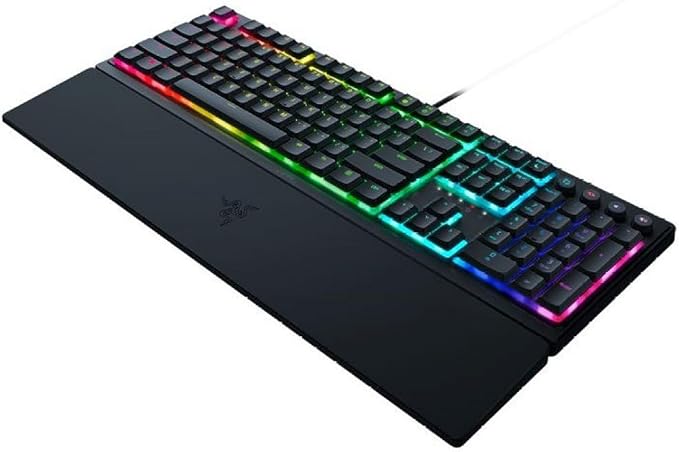 Ornata V3    3