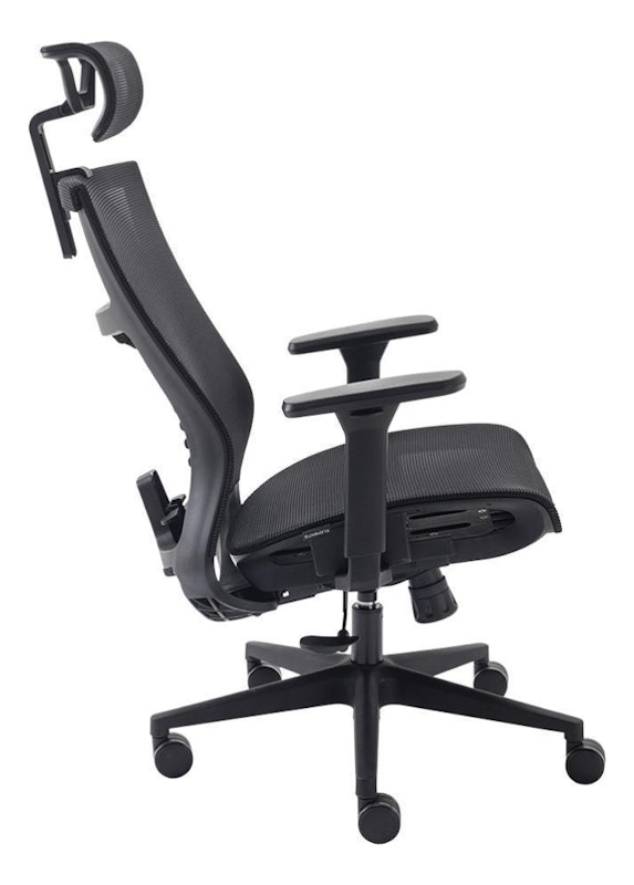 Cadeira Ergonômica Vertta 4