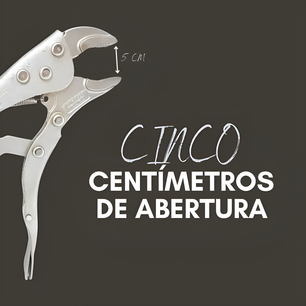 Alicate de Pressão 10" Mordente Reto Plus 4