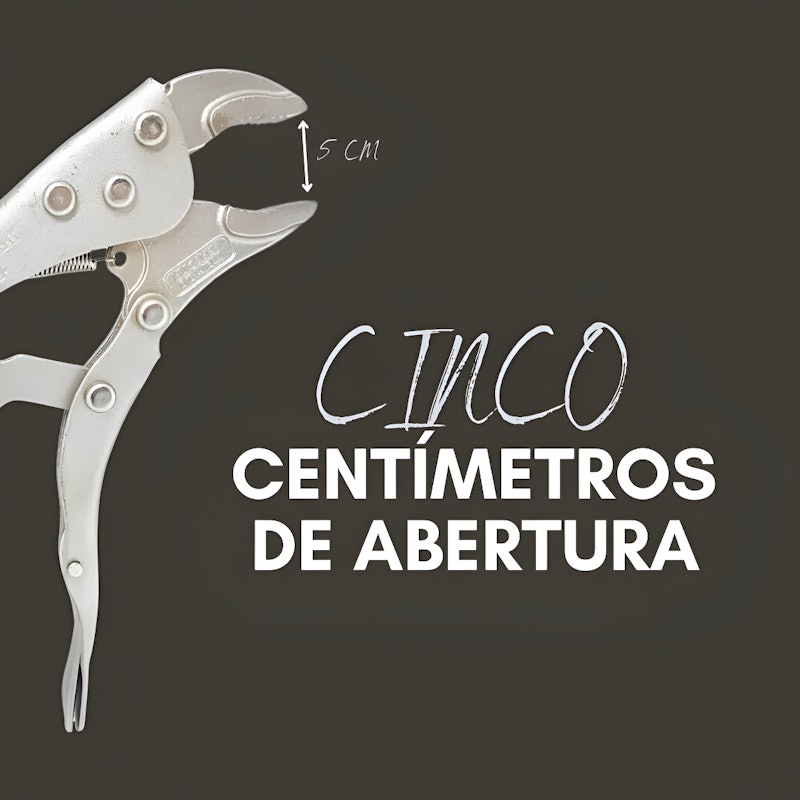 Alicate de Pressão 10" Mordente Reto Plus 4