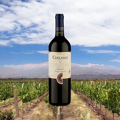 Vinho Merlot 3
