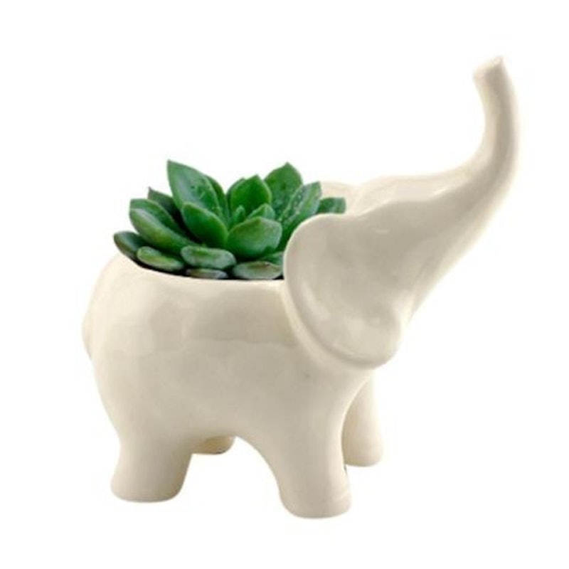 Cachepô Cerâmica Animals Elefante 1