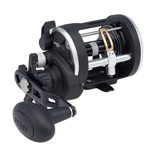 Carretilha Penn Rival 20LW 1