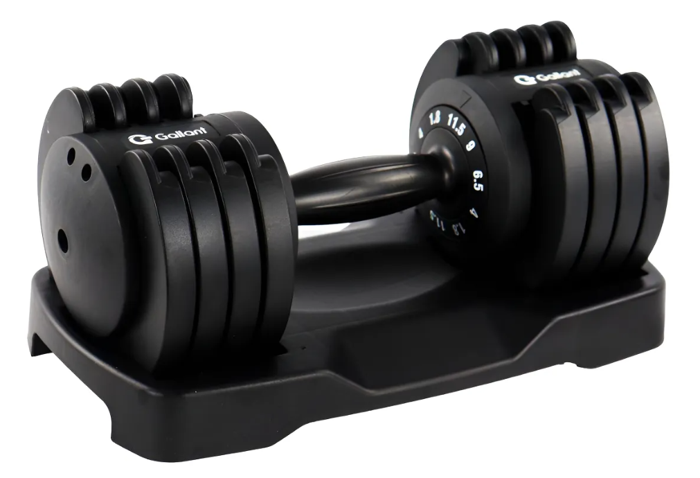 Dumbbell Halter Regulável Anilhas 11,5 kg com Base Elite Pro 1