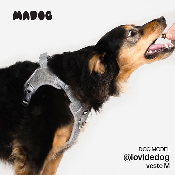 Peitoral Madog Comfort + Guia Basic 4