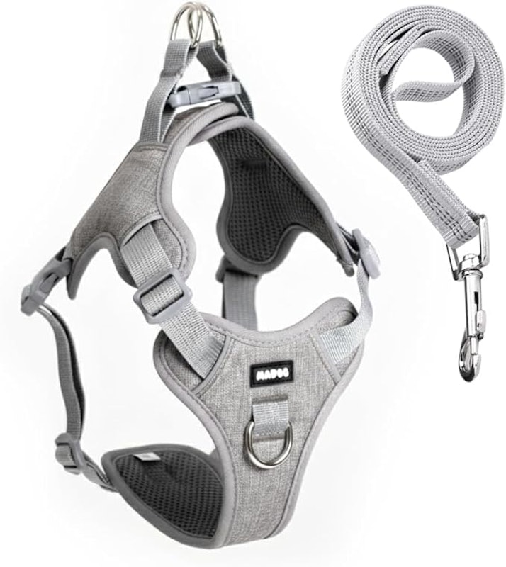 Peitoral Madog Comfort + Guia Basic 1