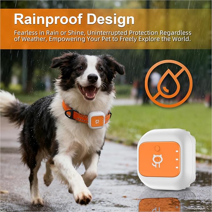 Coleira Rastreador GPS para Animais de Estimação 5