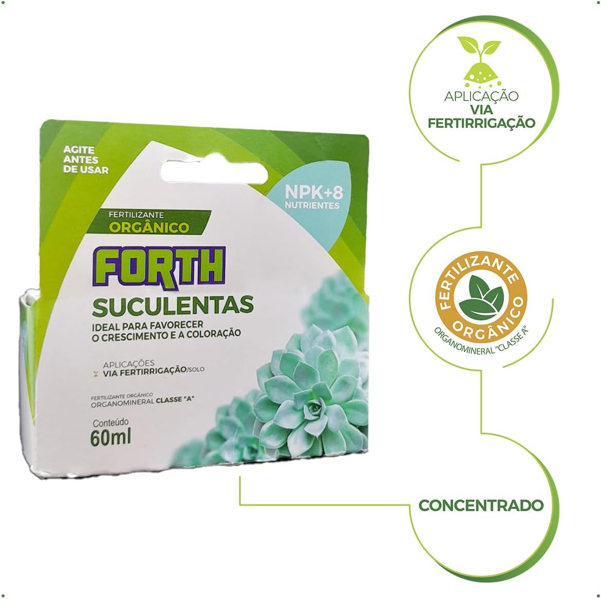 Forth Suculentas 3
