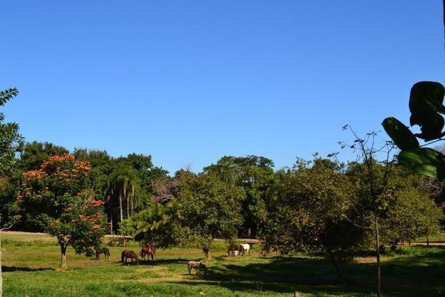 Hotel Fazenda Bela Vista 4