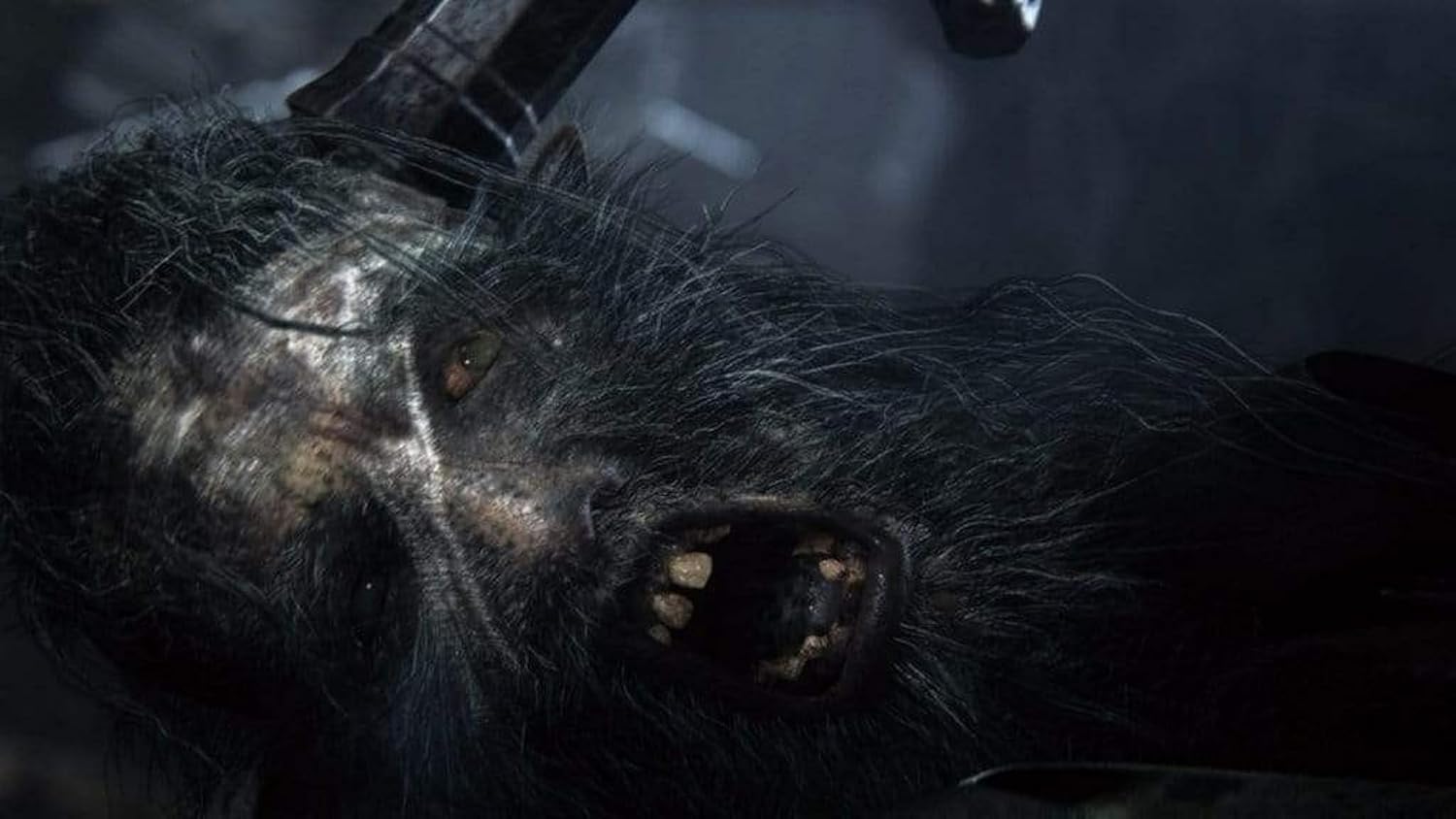 Bloodborne (2015) 5