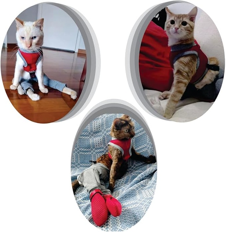Roupa Protetora para Gato Pernas Traseiras 2