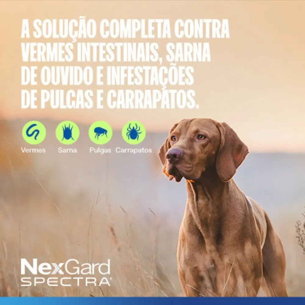 NexGard Spectra 4