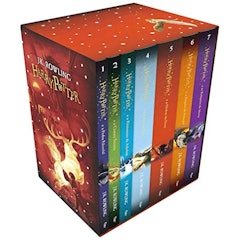 Box Harry Potter Edição Premium (Capa Comum)