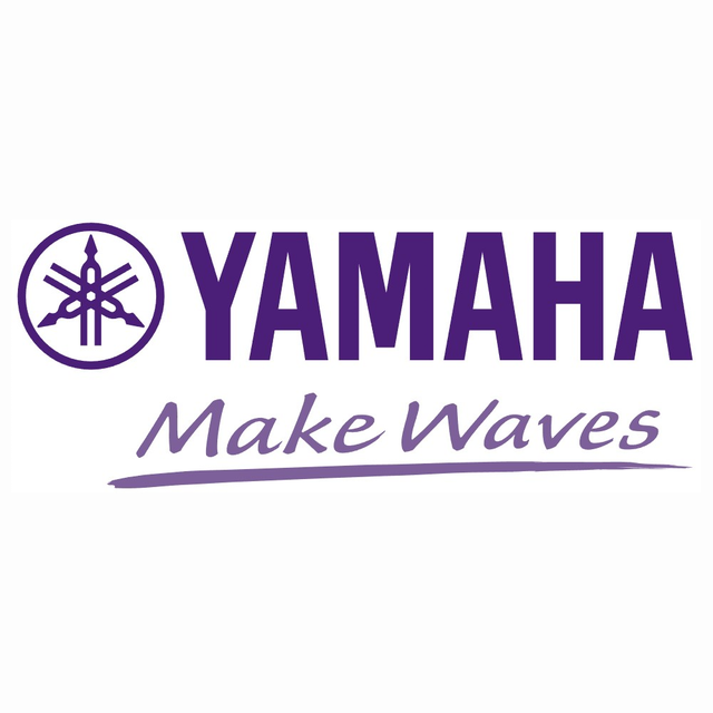 Top 10 Melhores Marcas de Violino em 2026 (Yamaha, Eagle e mais) 1