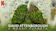 Jonathan Hughes, Keith Scholey, Alastair Fothergill David Attenborough e Nosso Planeta (2020) 1