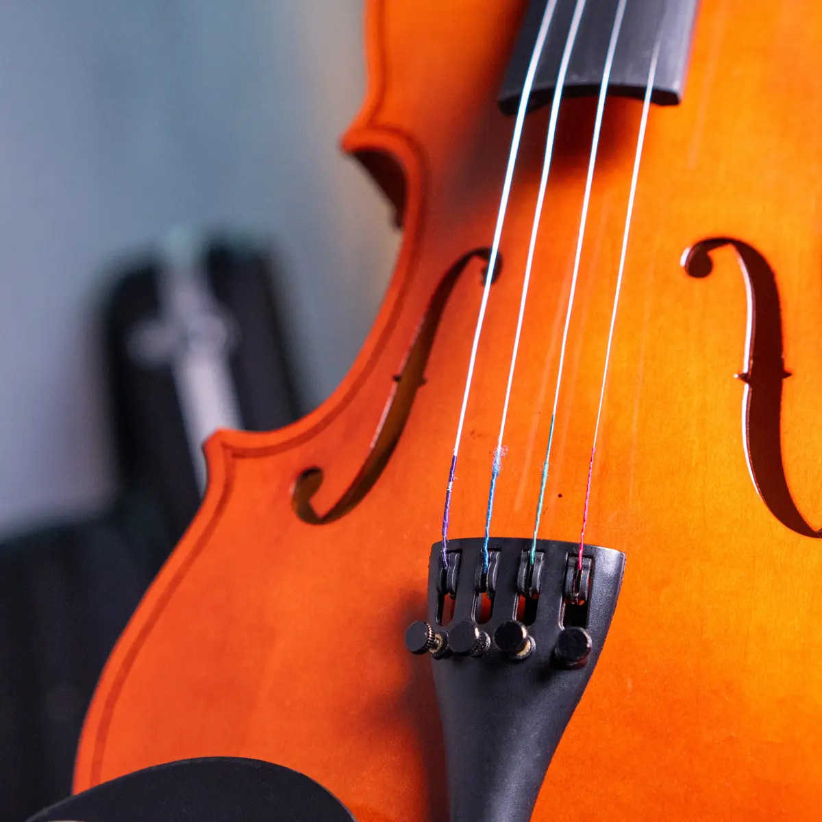 Violino Voik 4/4 3