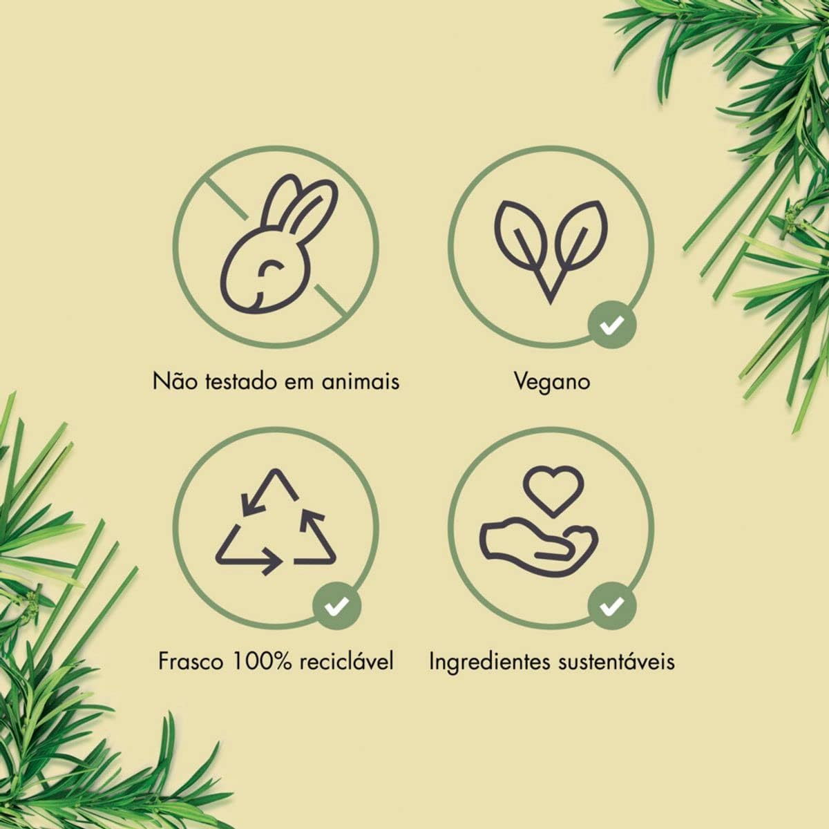 Shampoo Energizing Detox 3