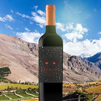 Vinho Picarón Carménère 2