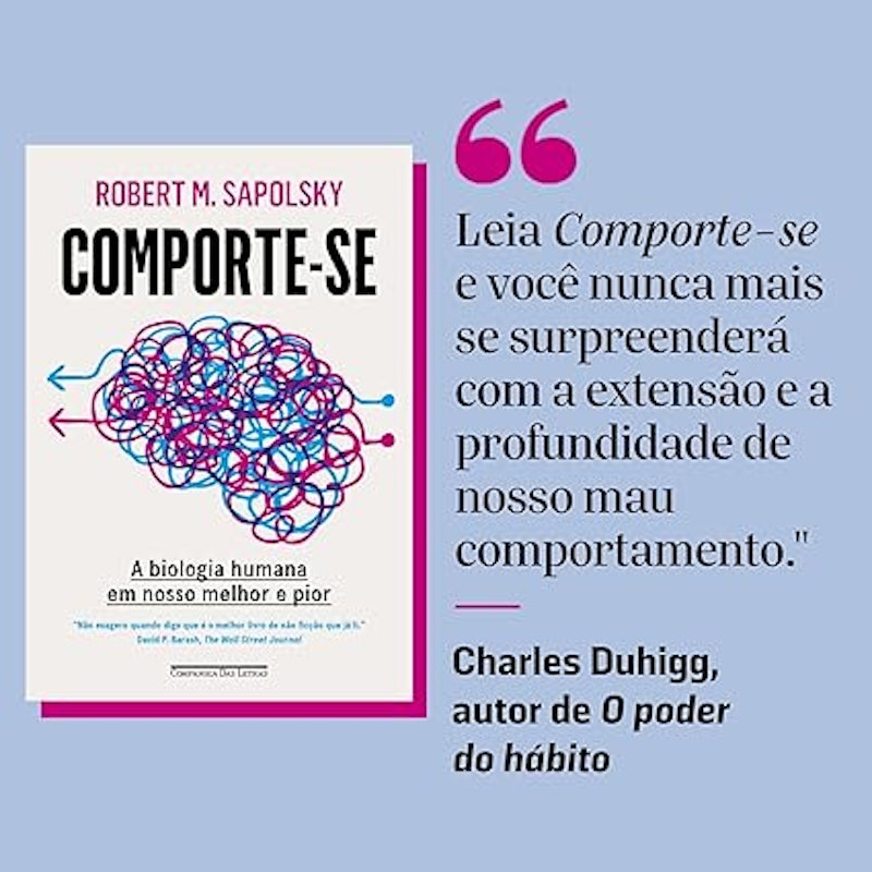 Comporte-se 2