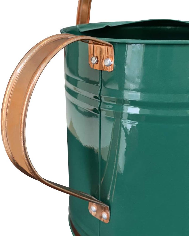 Regador de Aço Galvanizado para Plantas 5