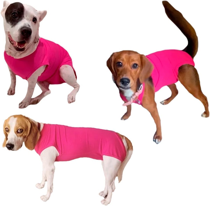 Roupa Pós-Cirúrgica Pet para Castração de Cachorro Macho e Fêmea 2