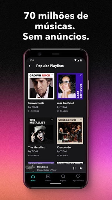 TIDAL Music 3